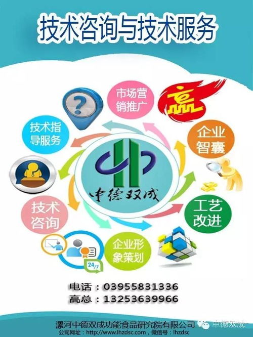 技術(shù)咨詢與辦公服務(wù) 現(xiàn)代企業(yè)的高效雙翼