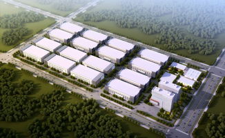 西安首批重大項目開工，總投資3468億元，開發區亮點紛呈助力藝術品研發